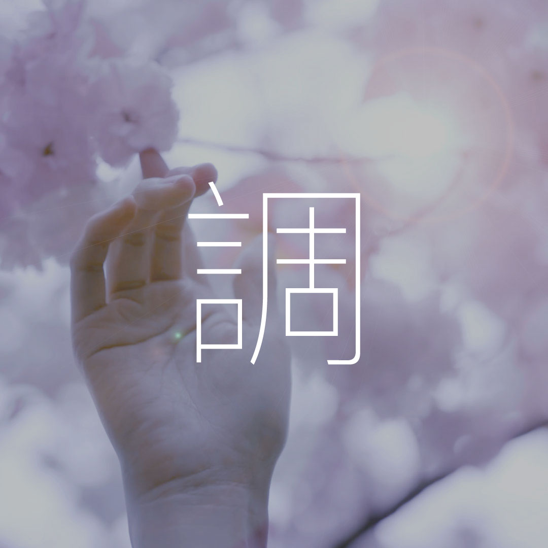 ::<p> 調</p> 調節體內酸鹼平衡及內分泌,提高超氧化物歧化酶功能,促進血液粘稠度的分離,清潔血液及暢通血管。 b